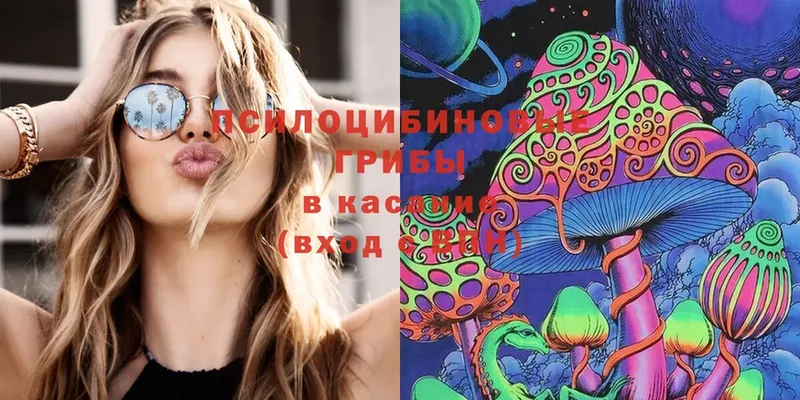 Псилоцибиновые грибы Cubensis  Кандалакша 